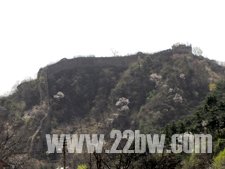 ʺȼٴ-Դͷֳ