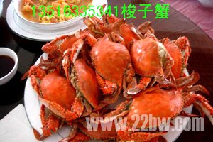 ڷ˴