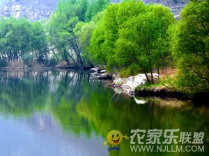 羰֮ũԺ