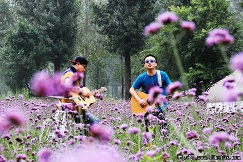 吉他手 作者:布衣足行