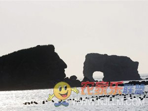ŵ_ׯӺŵס