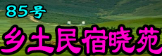 ӡ85Է