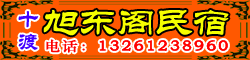 ʮ񶫸