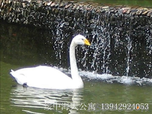 ξſˮϳǣס칫Ԣ 绰 13942924053 0429-6694253